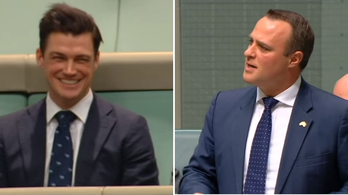 Aussie MP Gets Gay Engaged During Parliament Gay Marriage Debate