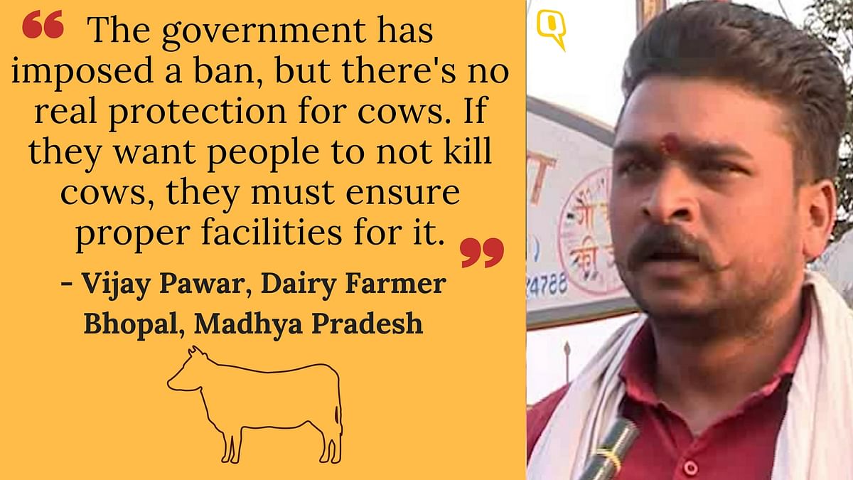 In times of cow related violence, The Quint travels to 4 states to hear our cattle owners’ perspective on Gau Raksha