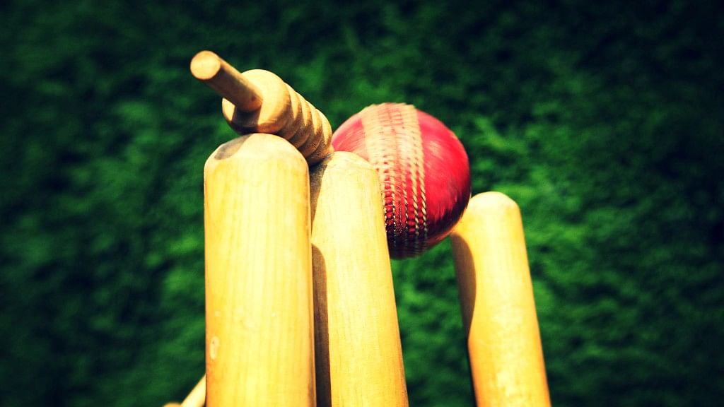 An 18-year-old cricketer collapsed and died of a possible cardiac arrest during a local cricket match at a college ground in Odisha.