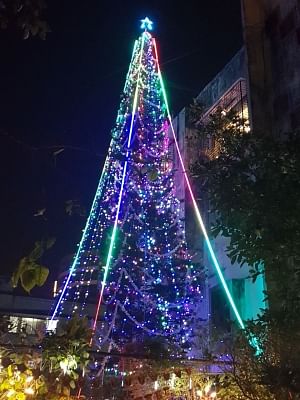 India's tallest Christmas tree reaches up to the heavens