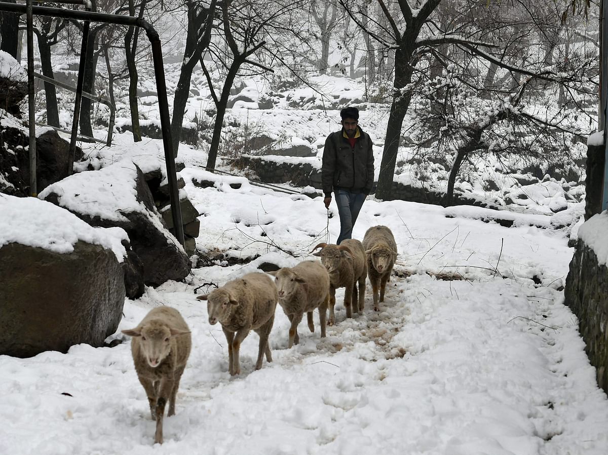 Snowfall was reported in Jammu and Kashmir, Uttarakhand, and Himachal Pradesh.