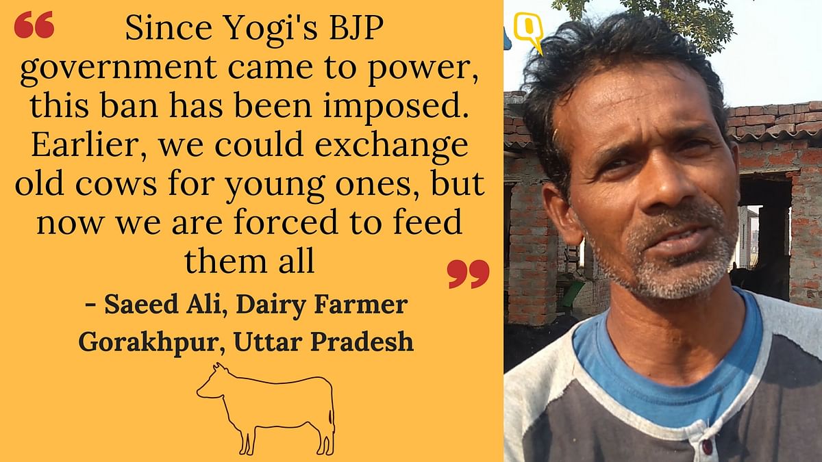 In times of cow related violence, The Quint travels to 4 states to hear our cattle owners’ perspective on Gau Raksha