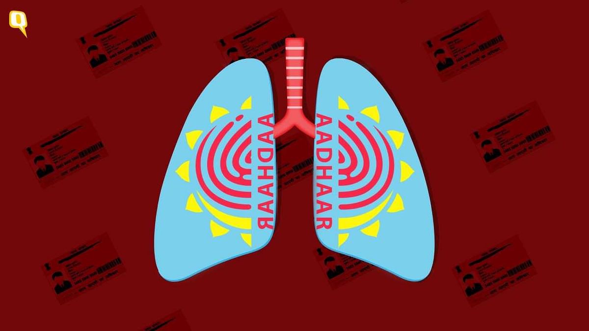 Your Lungs Now Need to Be Linked With Aadhaar to Breathe Clean Air