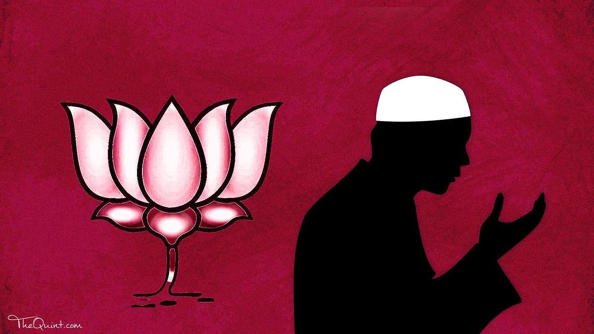 On Minorities Rights Day, The Quint takes a look at the year gone by, though a selection of reportage and opinion. 
