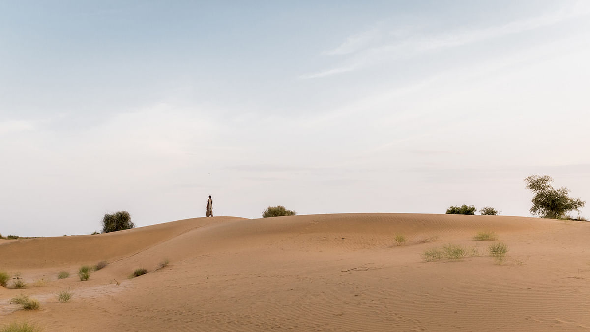 In the dunes of the Great Indian Desert in Rajasthan, Sukhpali, 30, watches over what shimmers like infinite gold.