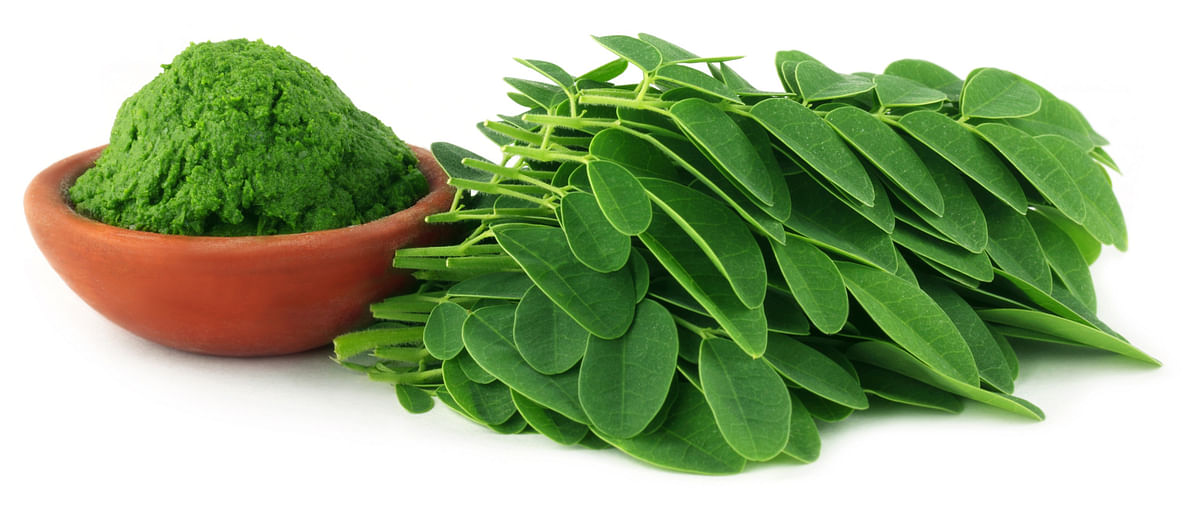 Moringa has shown promise for the management of diabetes and risk of cardiovascular diseases, among others.
