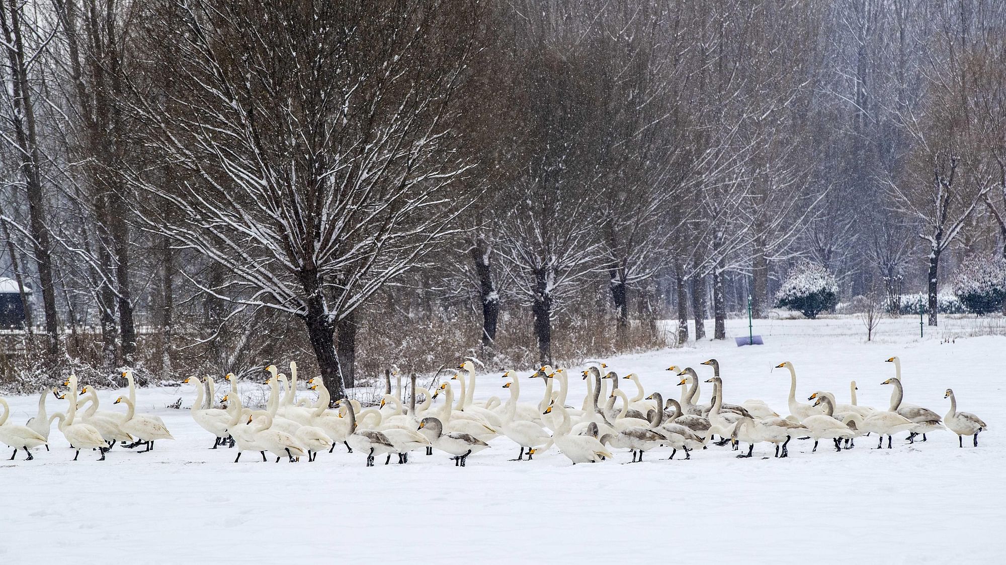 The first snow of 2018 affected large parts of northwestern, central and eastern China.