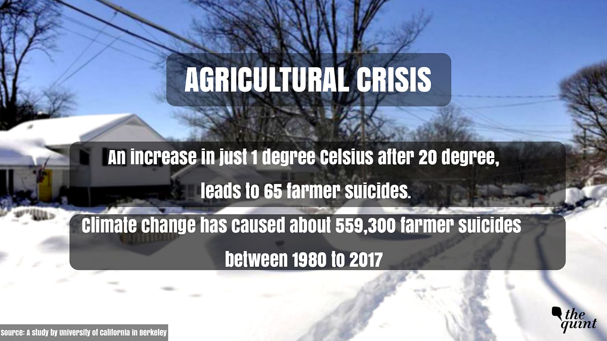 According to a US university study, climate change has caused about 559,300 farmer suicides between 1980 to 2017. 
