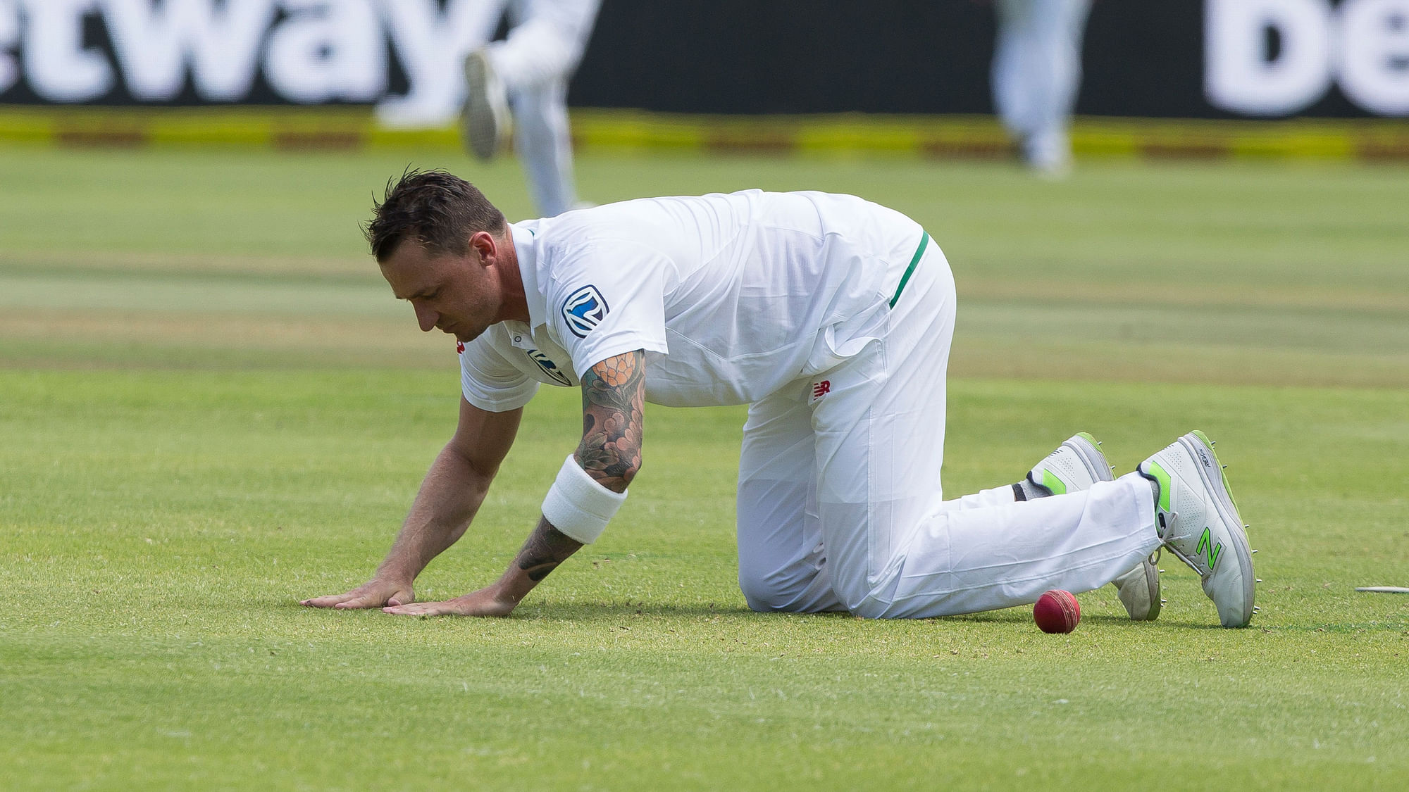 Dale Steyn got injured during the Cape Town test against India.