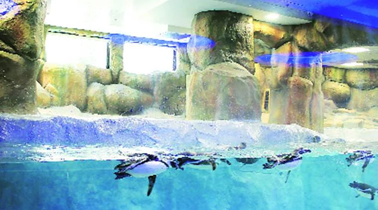 The penguin enclosure at the Byculla Zoo. (Photo Courtesy: Facebook)