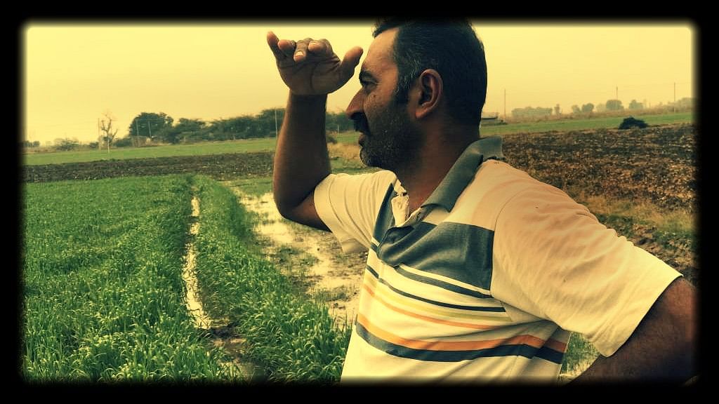 Cotton farmer Bipinbhai Phokia.