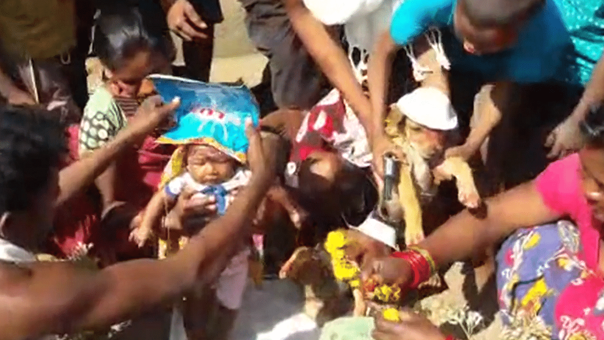 In Strange Custom, Odisha Toddler Wed to Puppy to Ward Off Evil