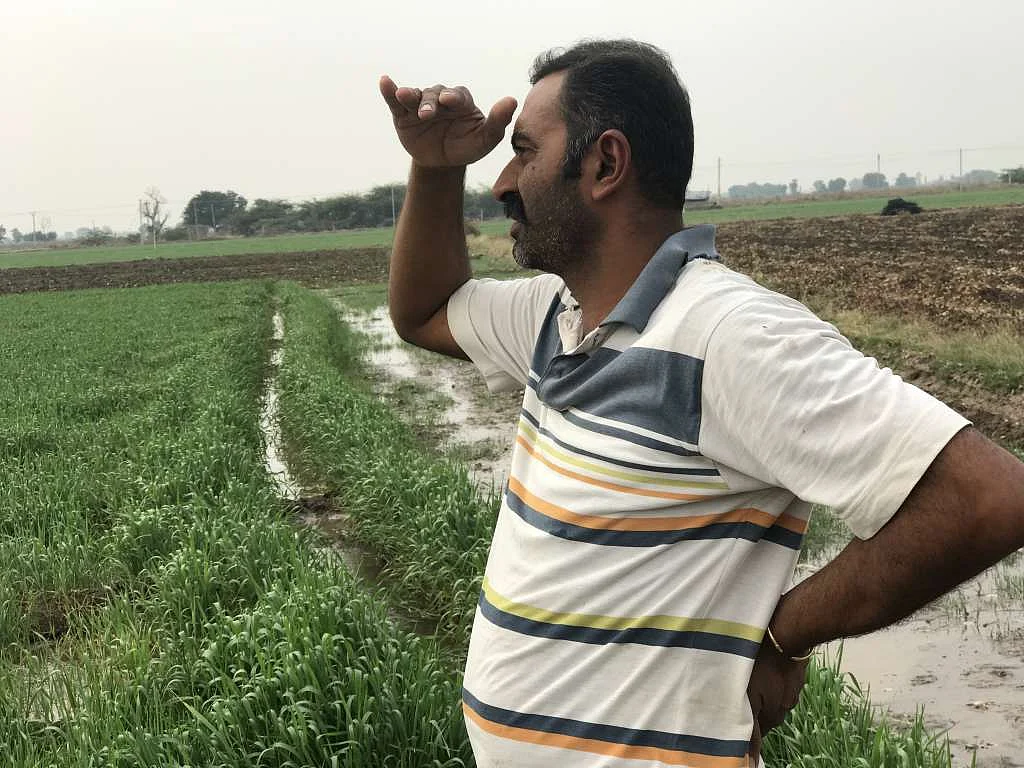 Cotton farmer Bipinbhai Phokia. 