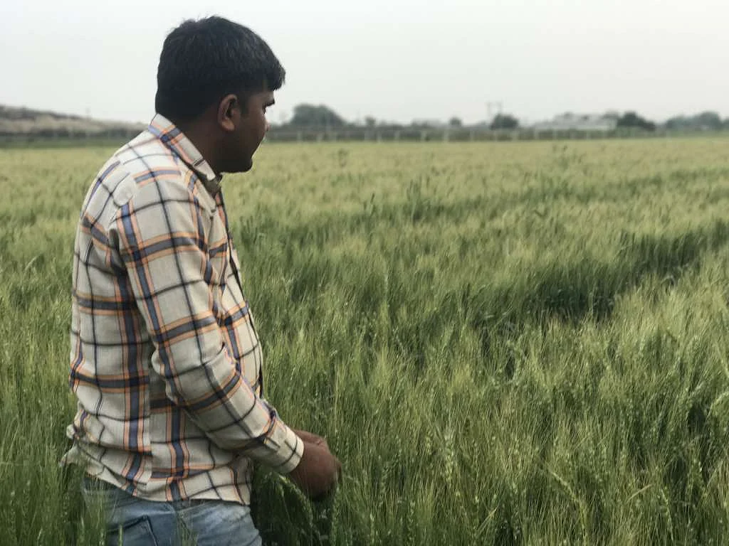 From Farm to Market: A Crisis Looms In Modi’s Home State