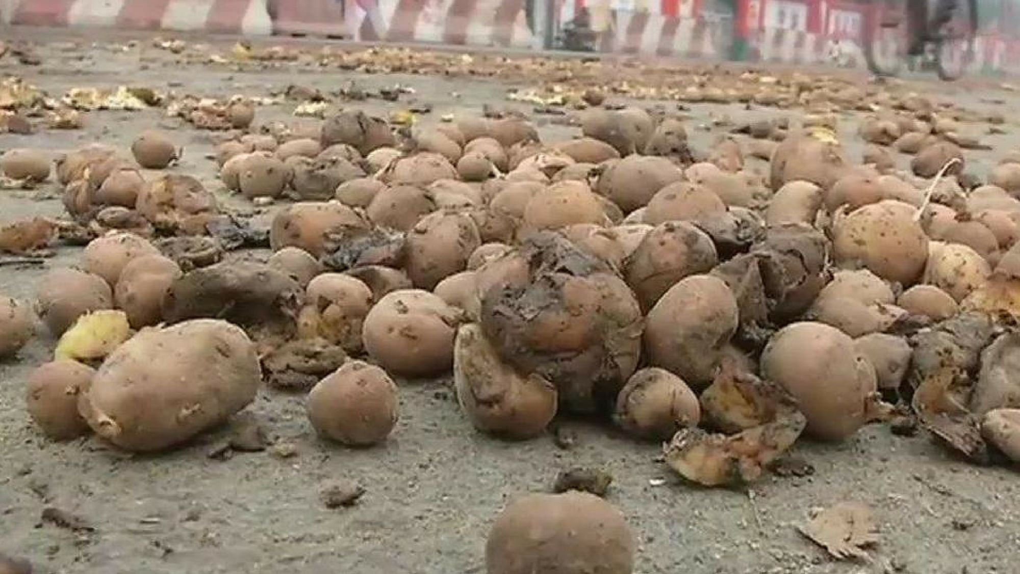 Potatoes were hurled from a truck in Lucknow.