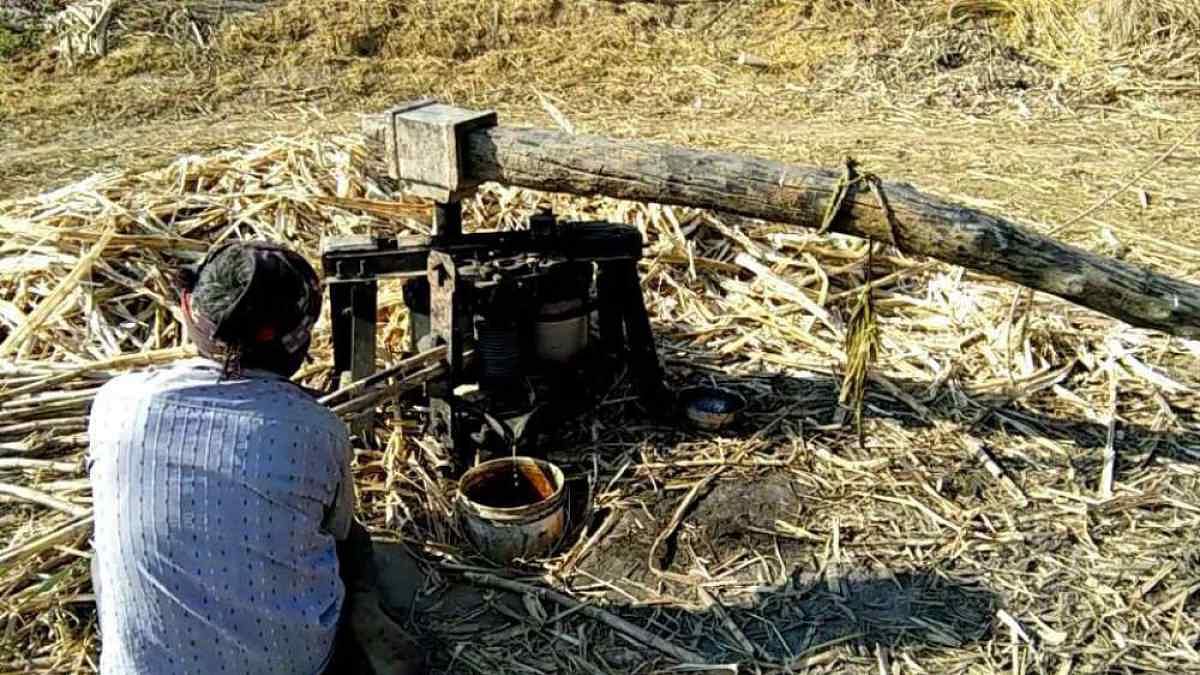  Video | Watch How Gur (Jaggery) is Made Out of Sugarcane