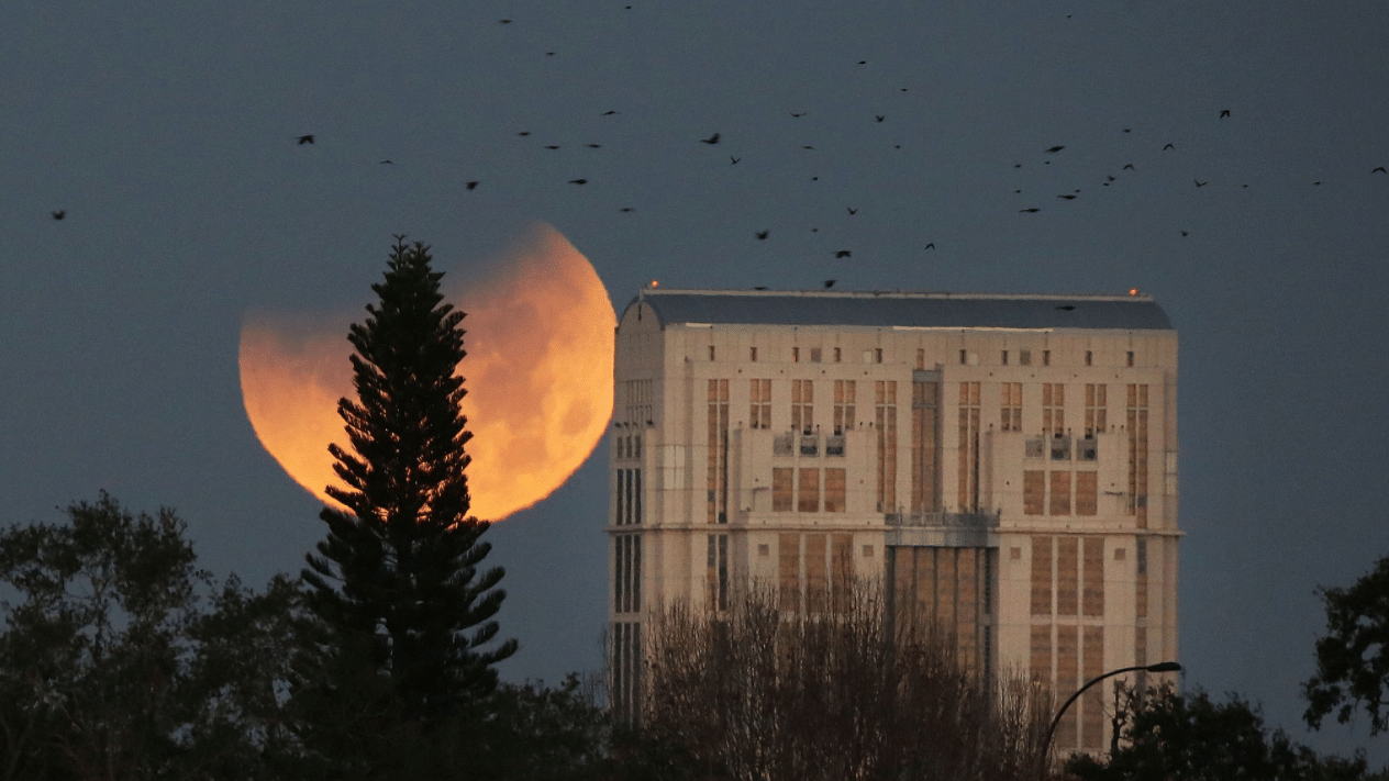 Super Blue Blood Moon, spotted in Orange County.