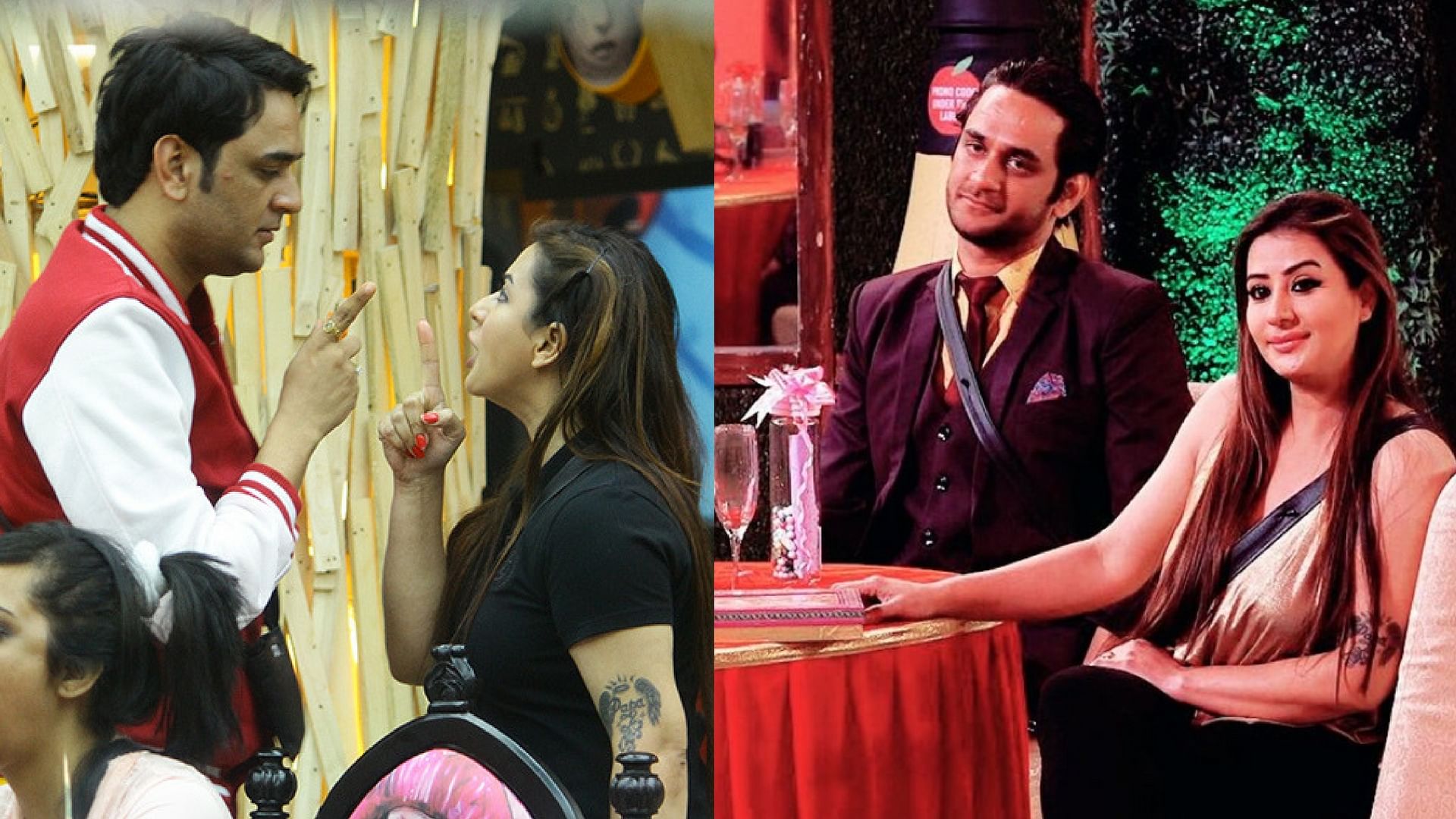 Shilpa and Vikas’s journey in the <i>Bigg Boss 11</i> house.&nbsp;