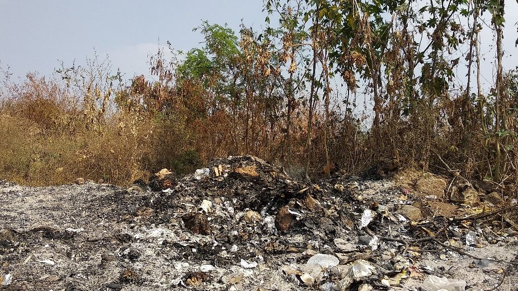 Visitors  of Lalbagh Botanical Garden have observed that it has turned into a dump yard of late.