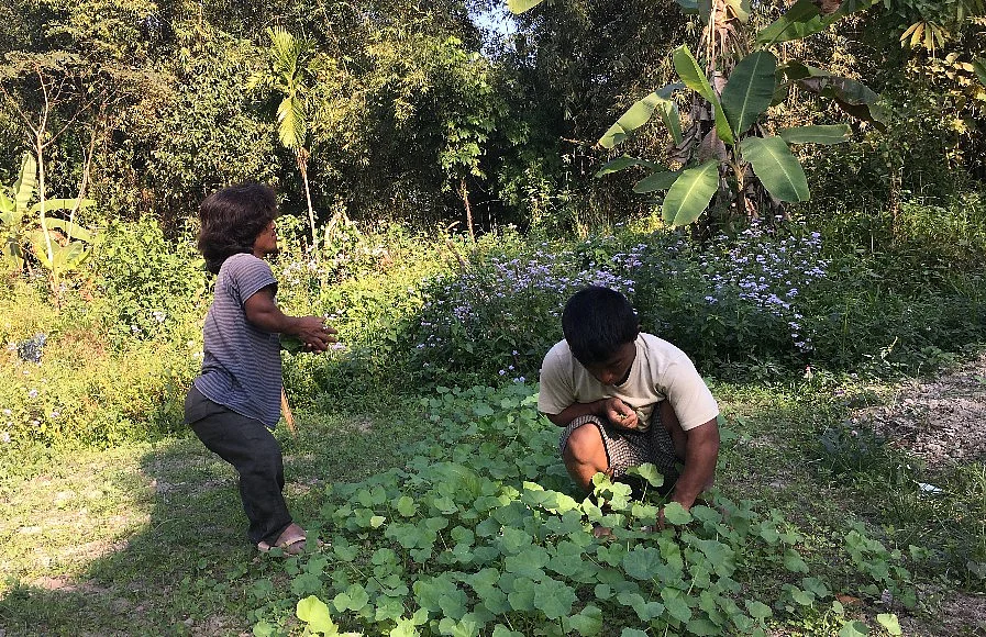 The residents of ‘Aamaar Gaon’ live a self-sustainable life. 