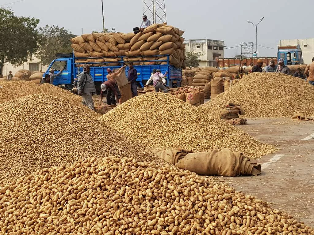 From Farm to Market: A Crisis Looms In Modi’s Home State