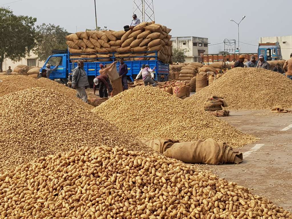 For peanut and cotton farmers in Gujarat, the largest producer of the two crops in the country, it’s even worse.