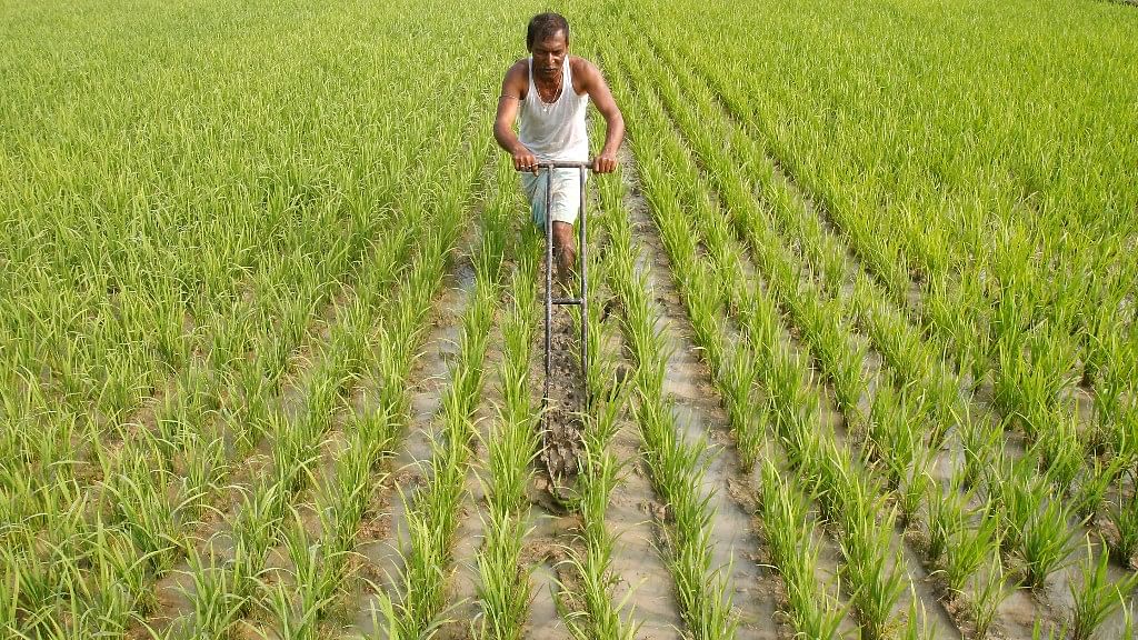 Farmers’ Body Demands Income Security In Pre-Budget Meeting