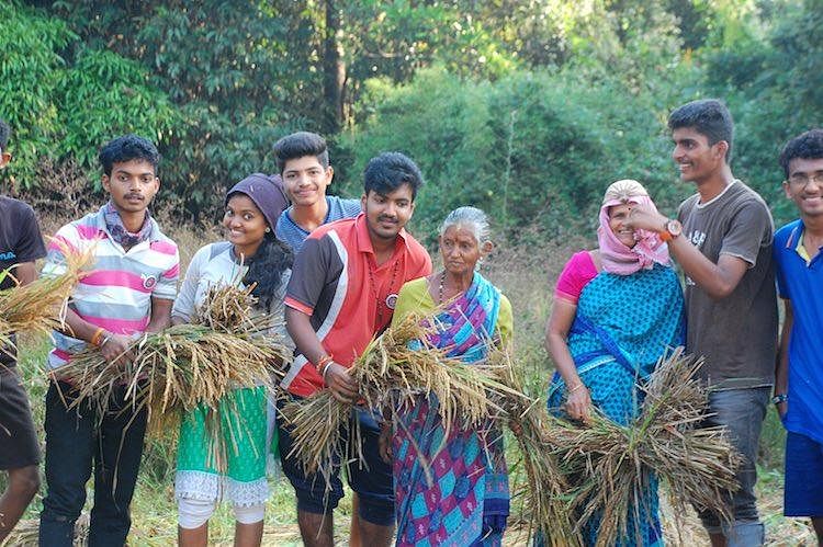 The project was a 5-month endeavour where the students cultivated rice on a 4-acre plot of land in Konaje. 