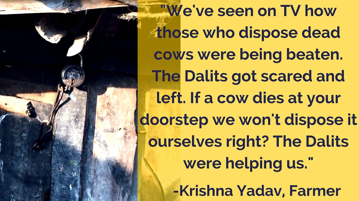 Dalits packed up and left a job they did for 15 years, while Gaushalas say they are overburdened.