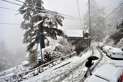 Shimla: Heavy snowfall wraps Shimla