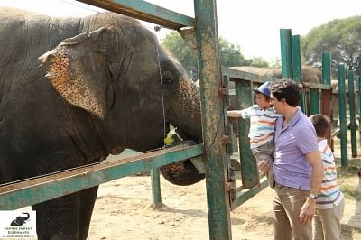 Mathura: Canadian Prime Minister Justin Trudeau and his children caress an elephant at Wildlife SOS Elephant Conservation and Care Centre in Mathura on Feb 18, 2018. (Photo: IANS)