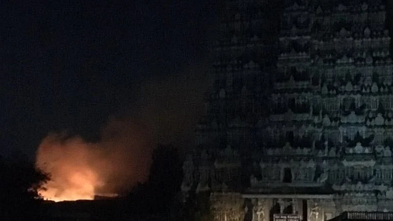 Fire broke out in the complex of the famed Meenakshi Amman Temple on 2 February. 