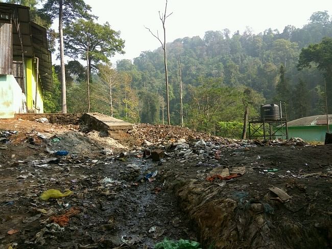 The dumping of plastic is putting the lives of wild animals at risk in and around Sabarimala.