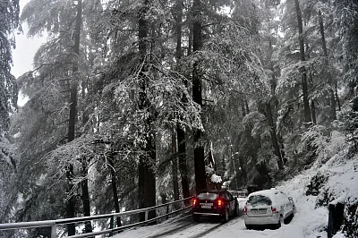 Shimla: Heavy snowfall wraps Shimla