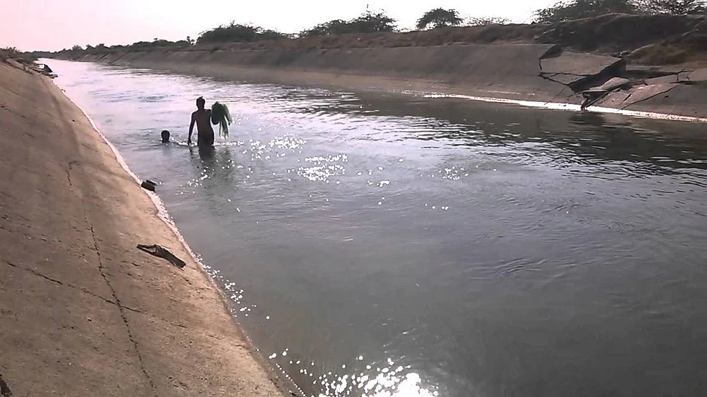 Narmada Canal water is used both for drinking and irrigation.