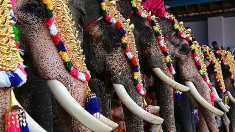 The temple in Cherthala decided that they would be replacing elephants with wooden structures or jeevathas to mount the deity.