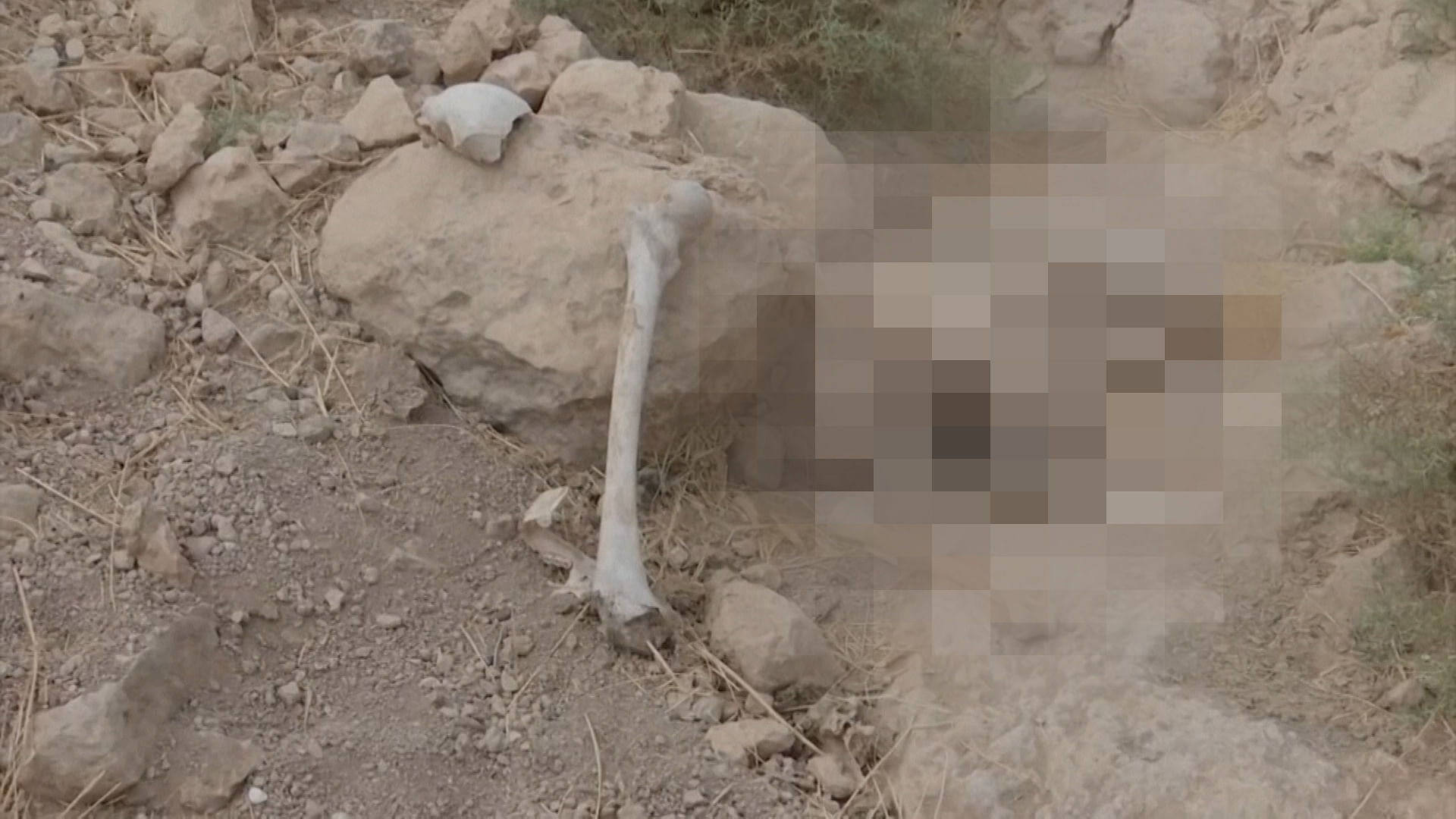 The bodies were found buried near the village of Badush, northwest of Mosul.