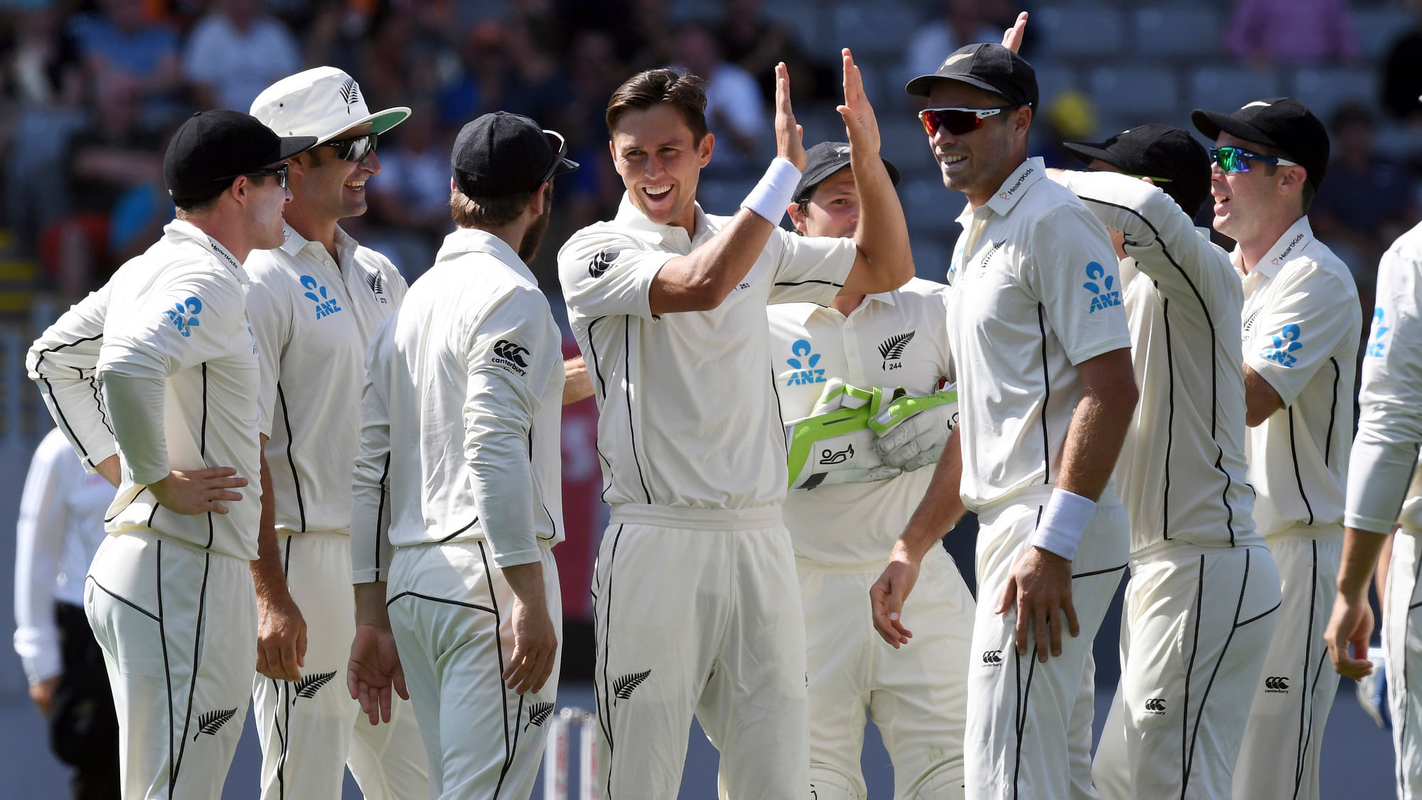 rent Boult is ready to challenge India captain Virat Kohli on his return to international cricket during the two-Test series starting on Friday, 21 February