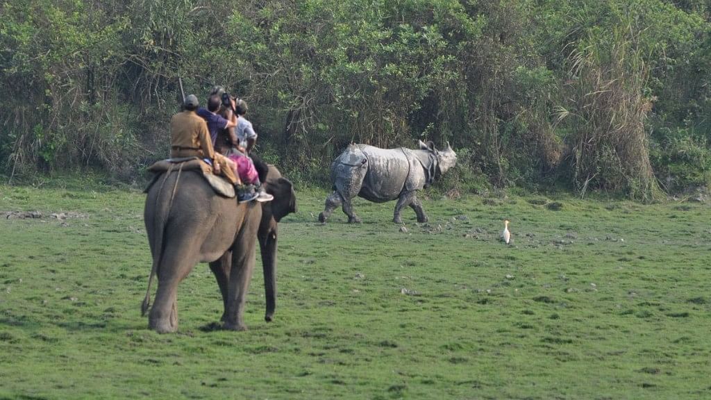 Indian authorities are conducting a two-day census of its rhino population at the Kaziranga National Park. &nbsp;