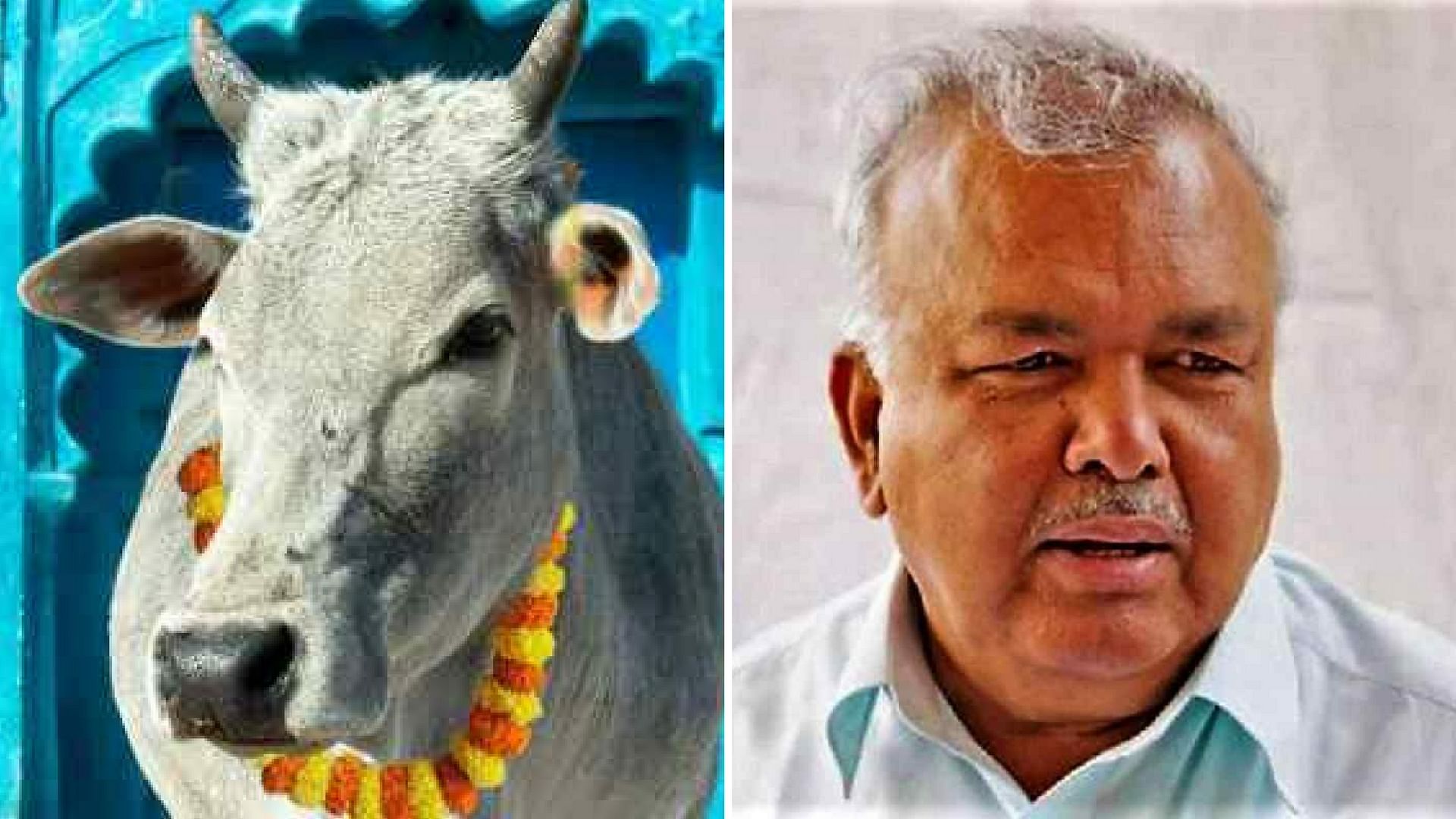 Ramalinga Reddy reiterated Eshwarappa’s stance and called for a ban on all kinds of animal slaughter.