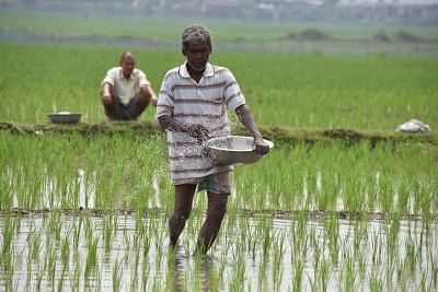 Why are India's farmers committing suicideIJ