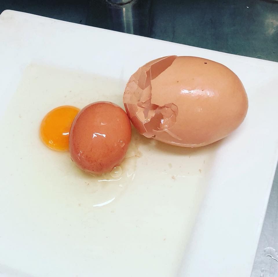 What is an egg inside an egg called? Eggception of course!