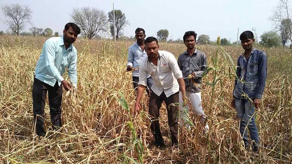 Winter crops in over 300,000 hectares in Maharashtra have been destroyed due to hailstorms and thunderstorms in February. 
