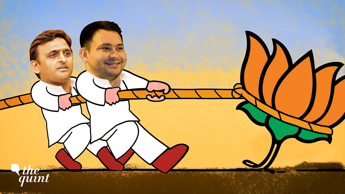 Akhilesh-Tejashwi brought down the BJP in its bastions.