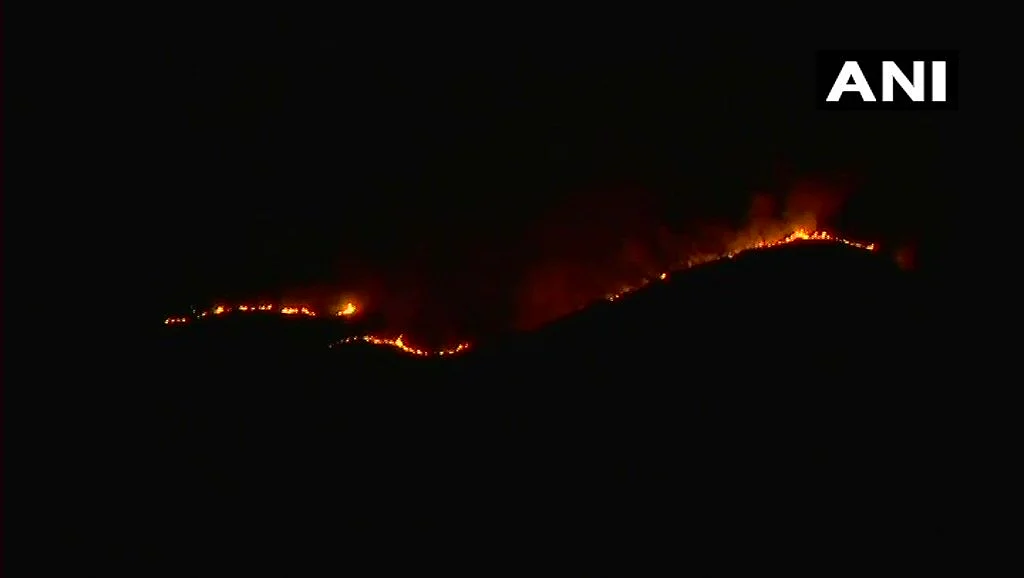 Visuals of the forest fire that broke out in Tamil Nadu. 