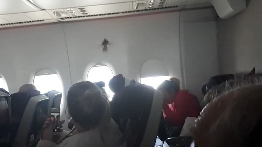 Passengers onboard a flight were pleasantly surprised to find a stowaway bird as their co-passengers.&nbsp;