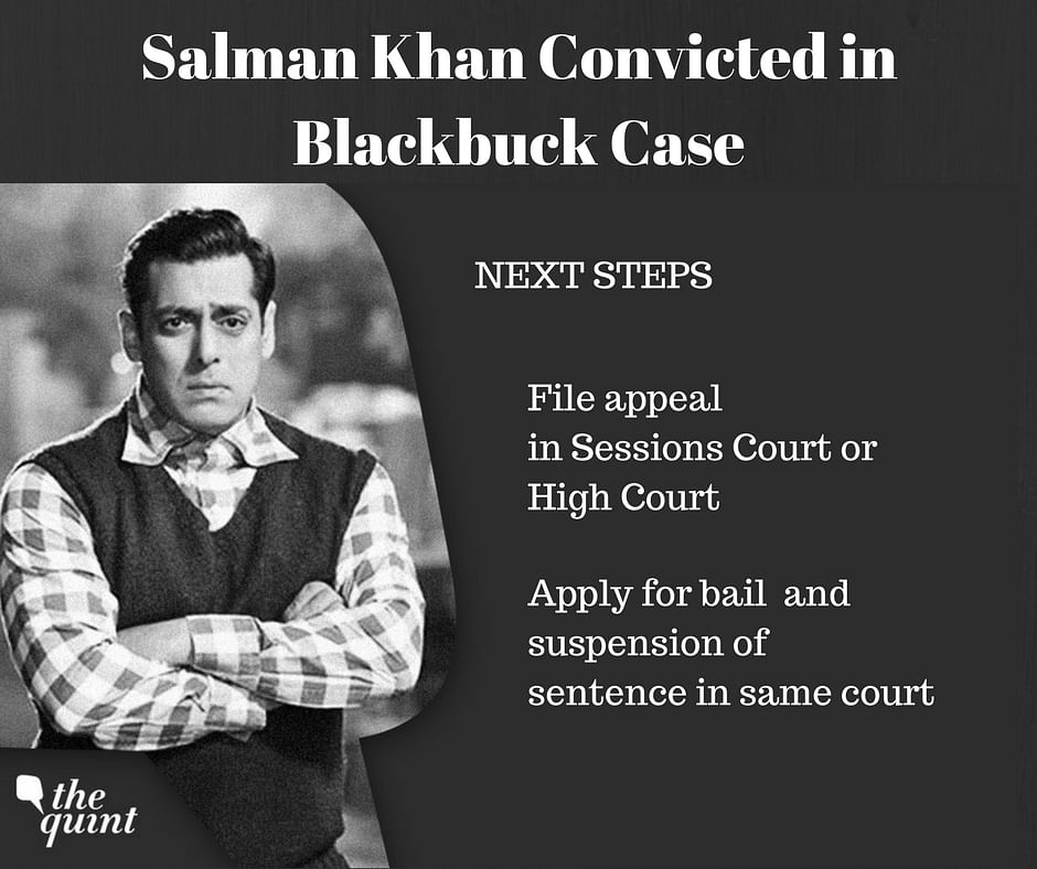 Explaining the charges under which Salman Khan has been convicted and what he can do to avoid jail.