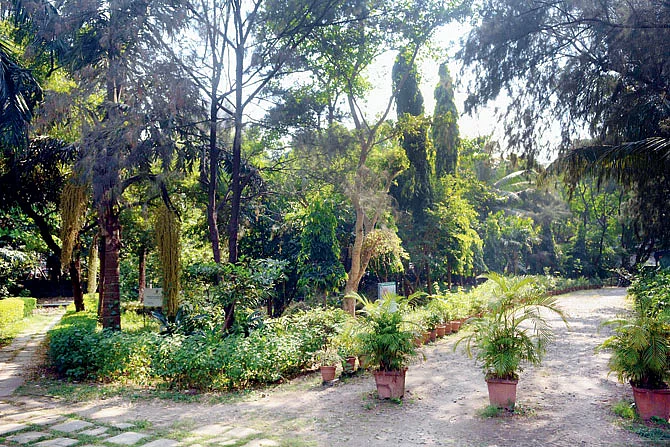 This state government seems hell bent on snatching away every inch of open space from Mumbai.
