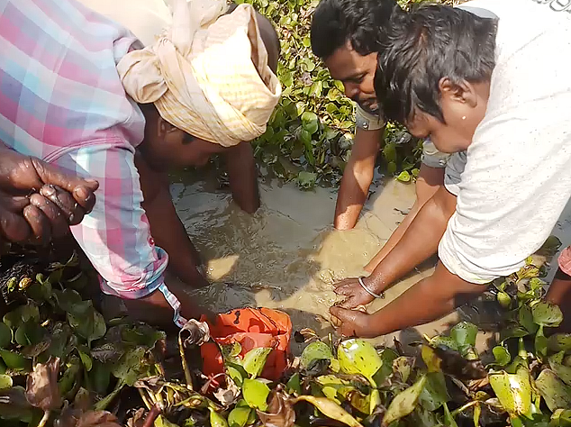 “We have to always catch more than we need, as the meat obtained is of very less quantity,” says Asim Mondal.