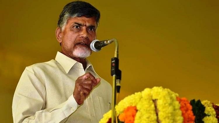 The TDP President will be staging a protest on his 68th birthday to pressurise the Centre to fulfil all commitments made during bifurcation of Andhra.